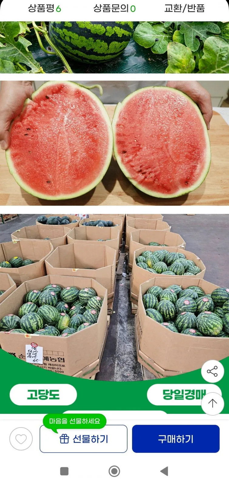 20260802111647_7FLJoWwY78.jpg