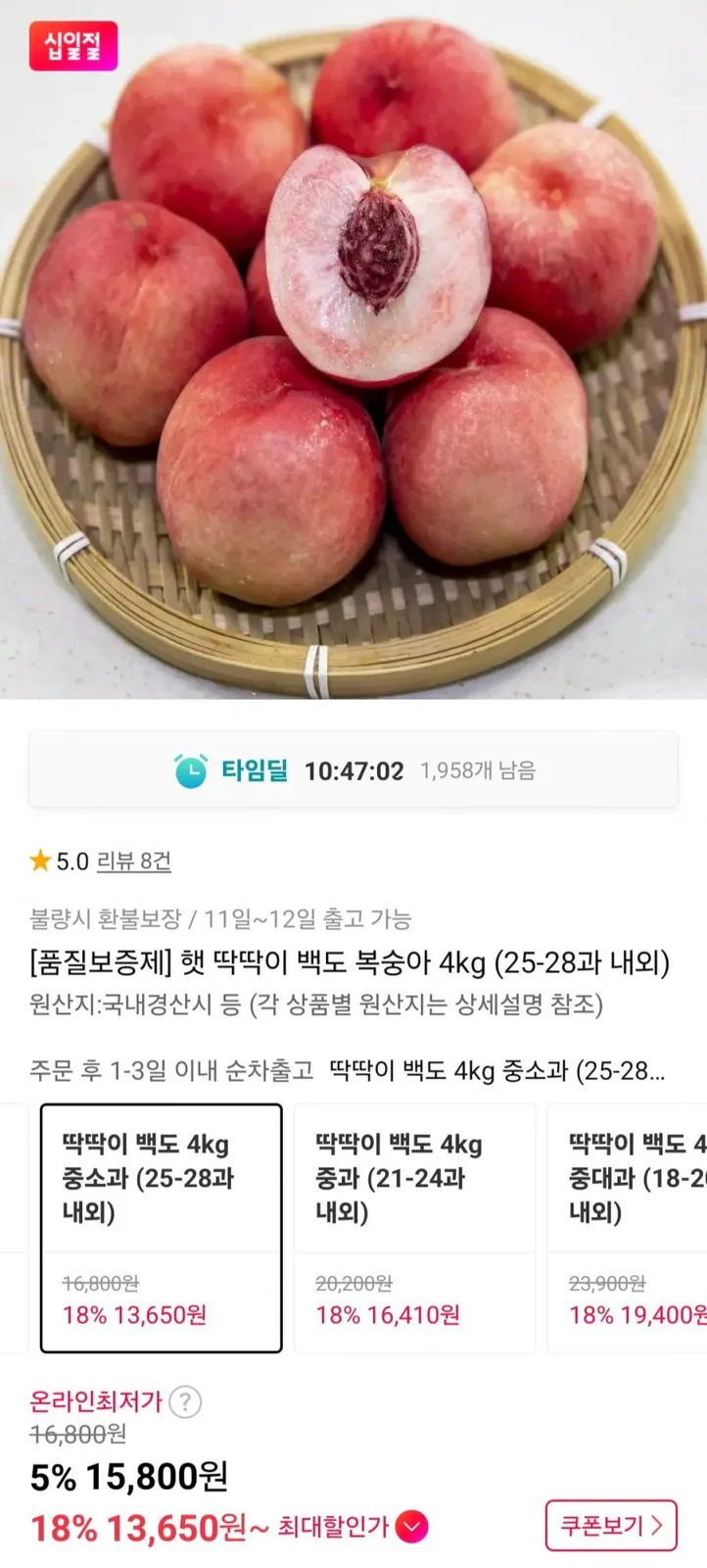 20260811001521_yXANQaEEcB.jpg